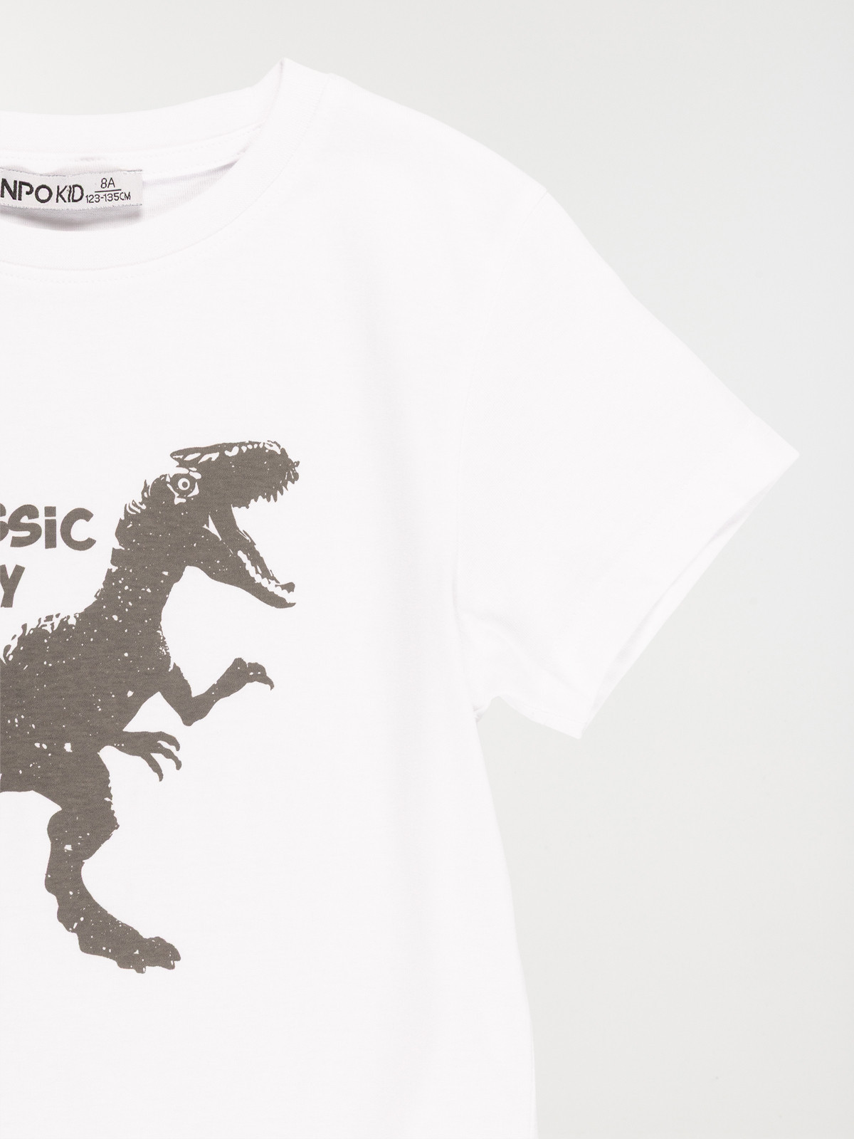 Tee-shirt Jurassic play garçon (3-12A)