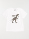 Image produit Couleur: Blanc