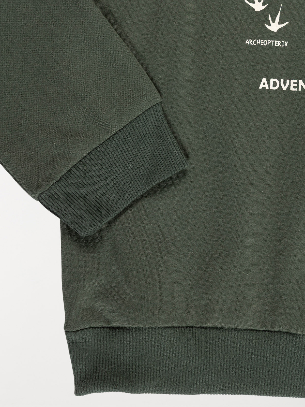 Sweat dinosaure garçon (3-12A) Sweat dinosaure garçon (3-12A)