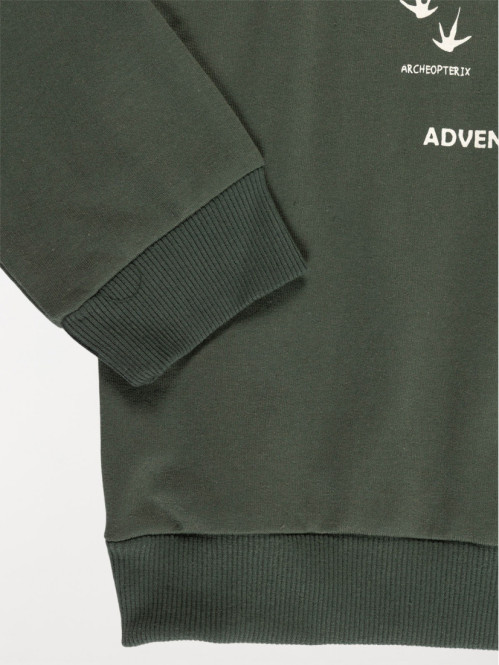 Sweat dinosaure garçon (3-12A)