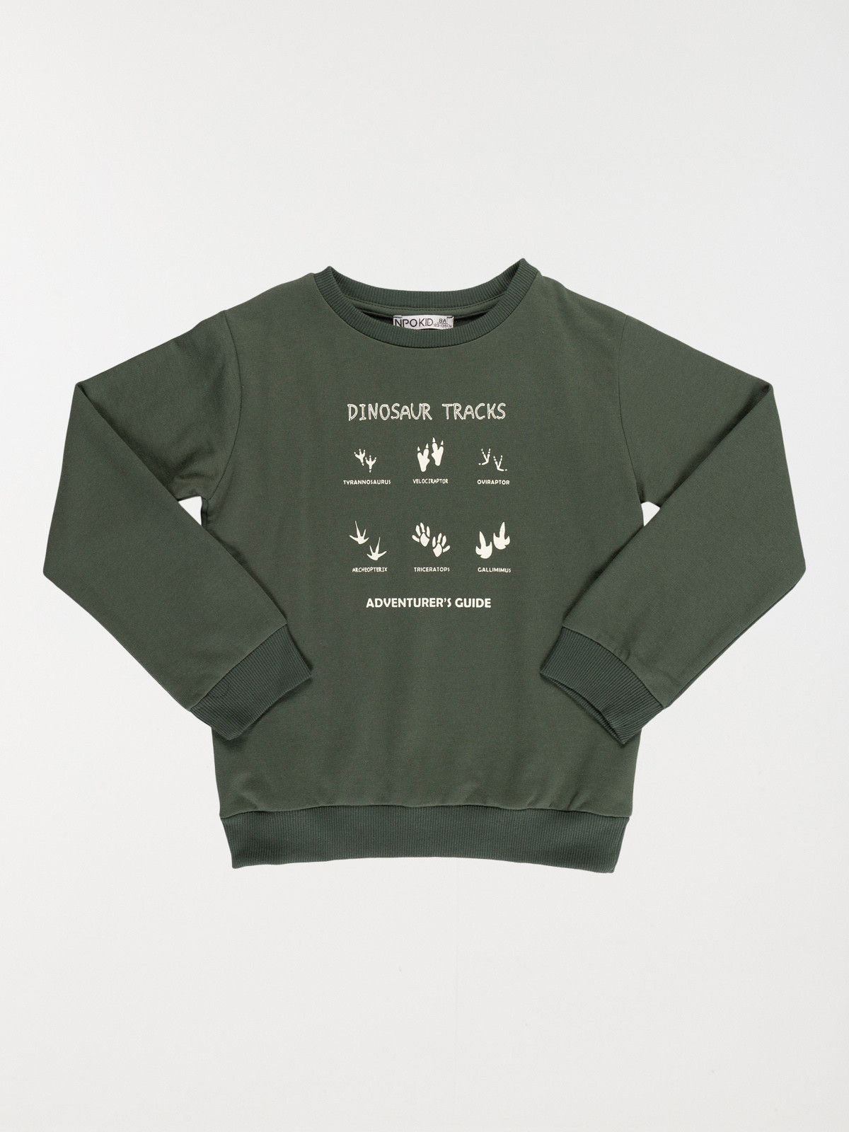 Sweat dinosaure garçon (3-12A)