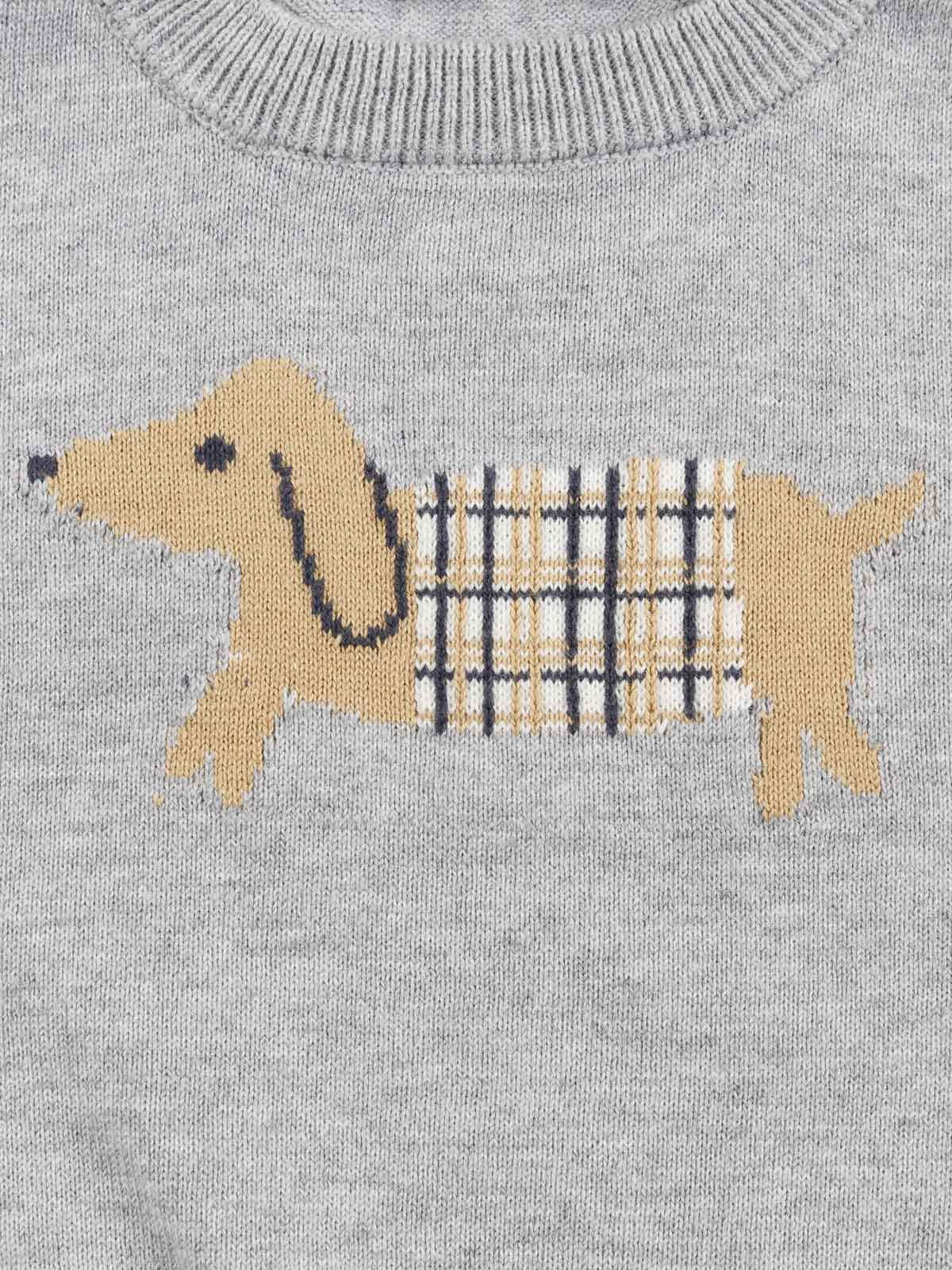 Pull garçon motif chien (3-36M)