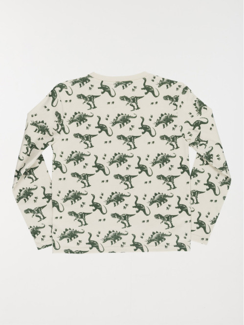 Tee-shirt dinosaures garçon...