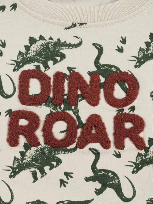 Tee-shirt dinosaures garçon...