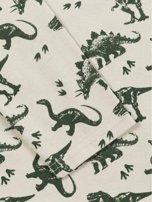 Tee-shirt dinosaures garçon...