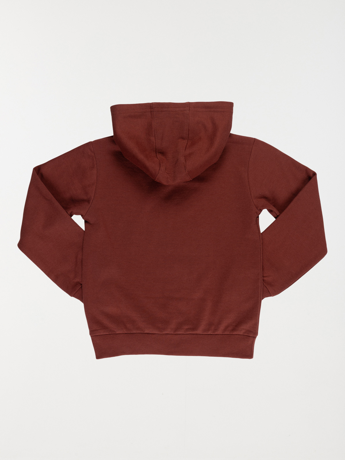 Sweat à capuche dinosaure garçon (3-12A)