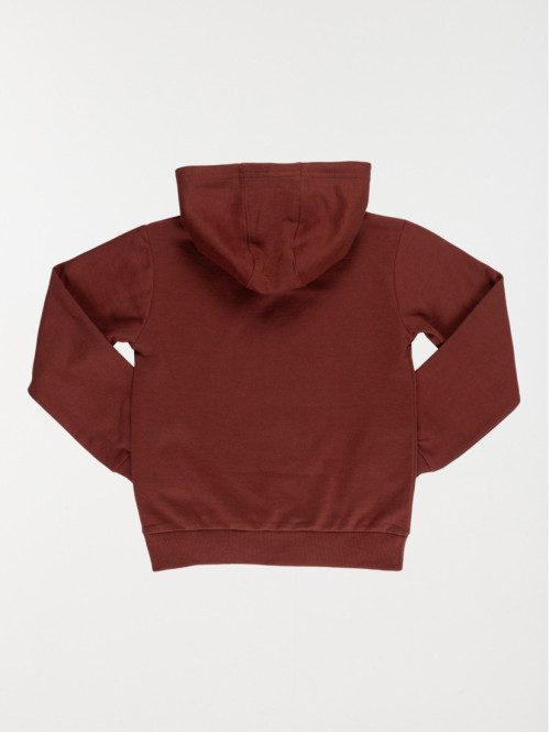 Sweat à capuche dinosaure garçon (3-12A)