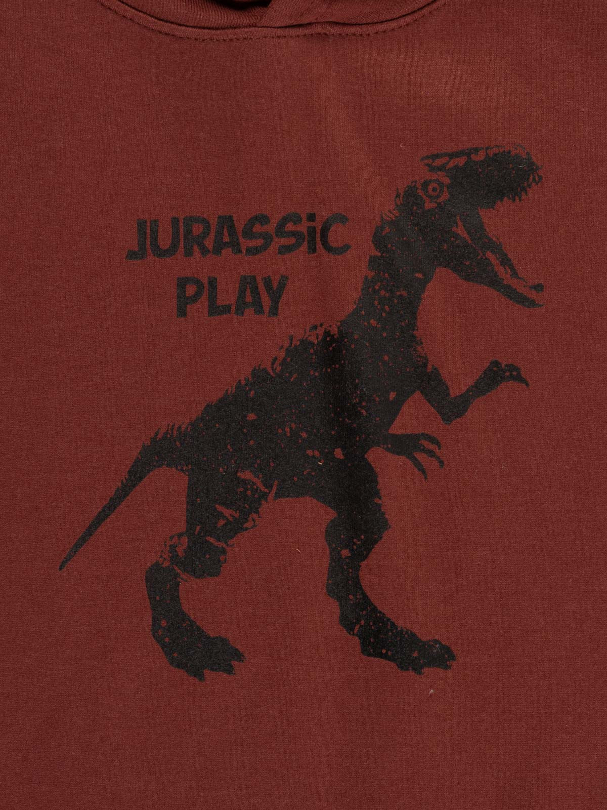 Sweat à capuche dinosaure garçon (3-12A)