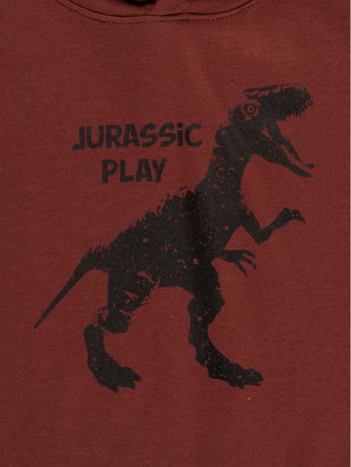 Sweat à capuche dinosaure garçon (3-12A)