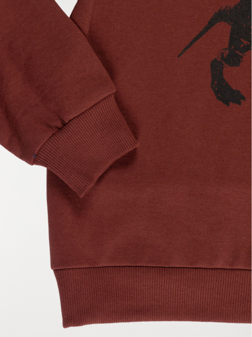 Sweat à capuche dinosaure garçon (3-12A)