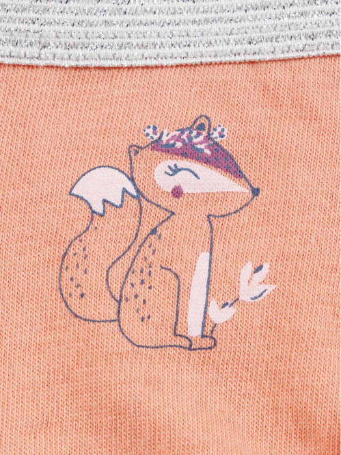 Lot de 5 slips renard fille