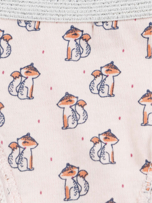 Lot de 5 slips renard fille