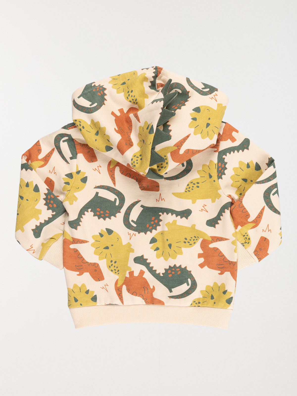 Sweat dinosaure à capuche garçon (6-36M)