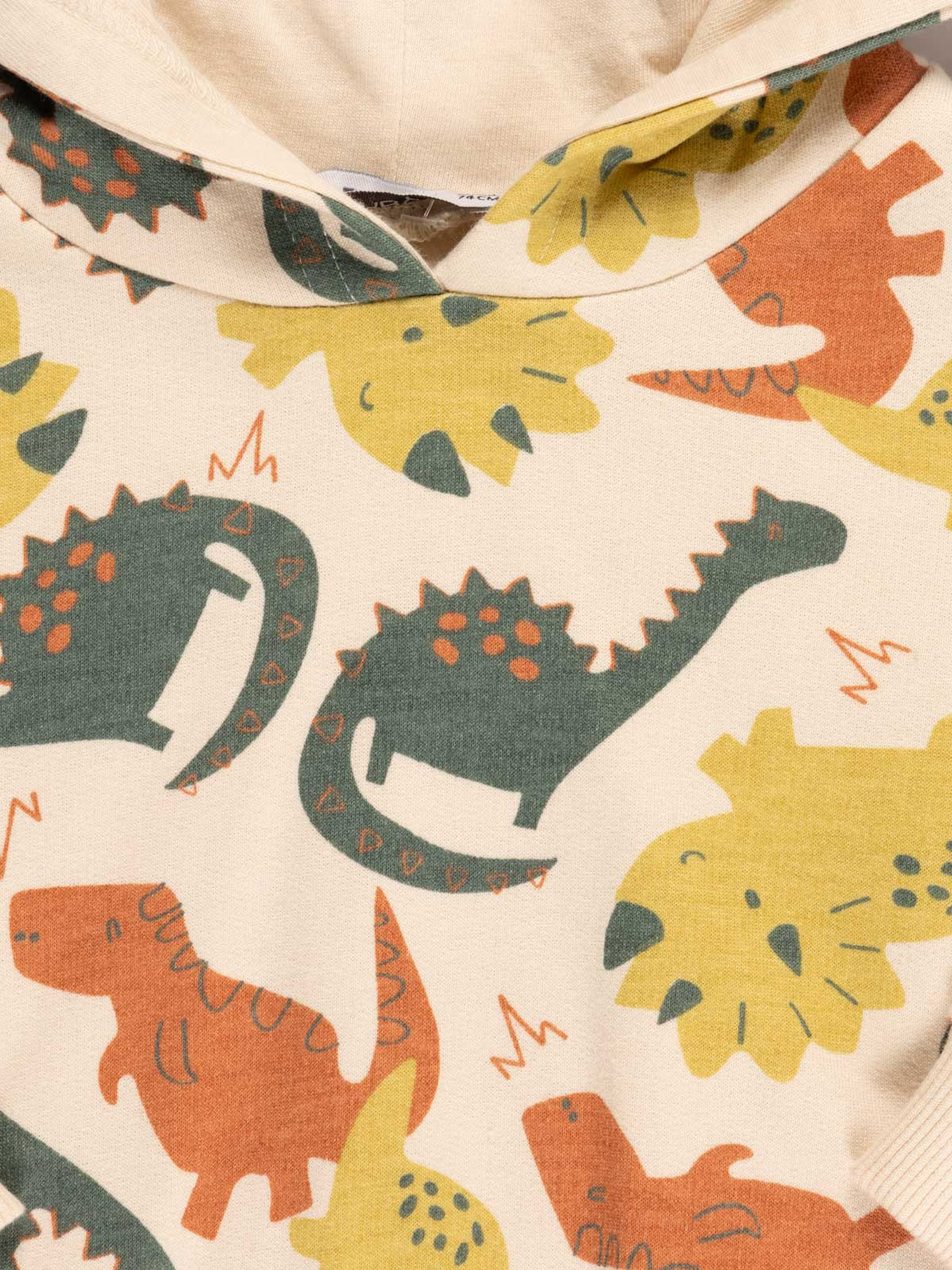 Sweat dinosaure à capuche garçon (6-36M)