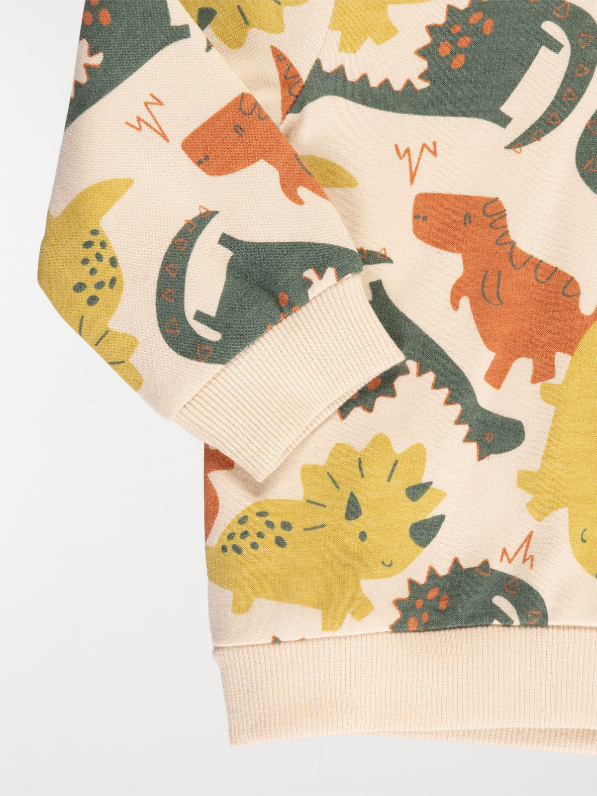 Sweat dinosaure à capuche garçon (6-36M)