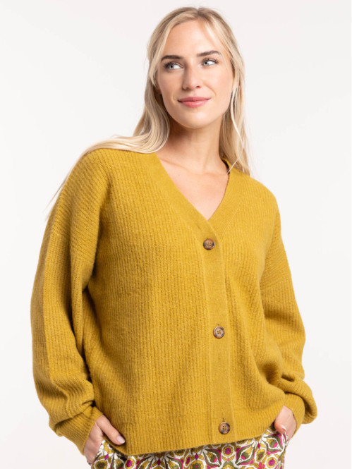 Gilet boutonné col V vert...