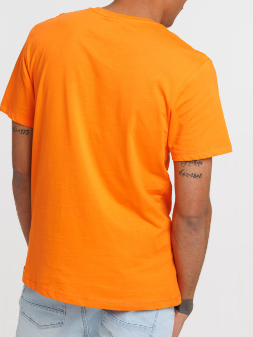 Tee-shirt Dragon ball Z homme