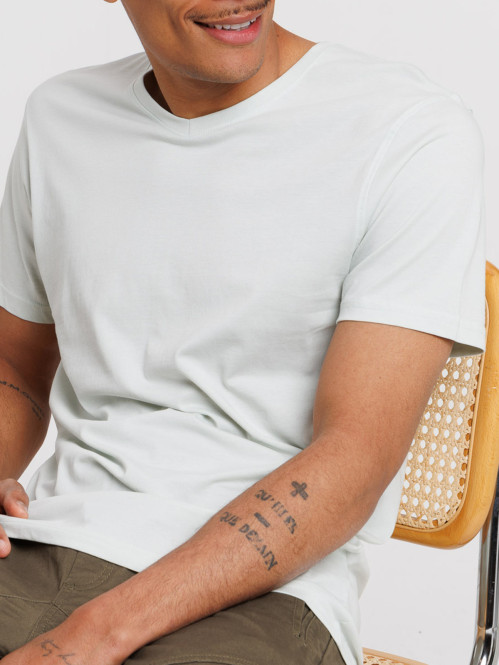 T-shirt col V vert pâle homme