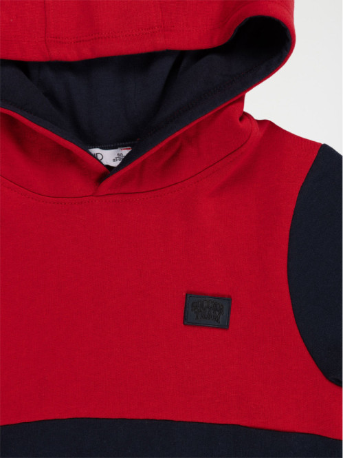 Sweat tricolore à capuche...