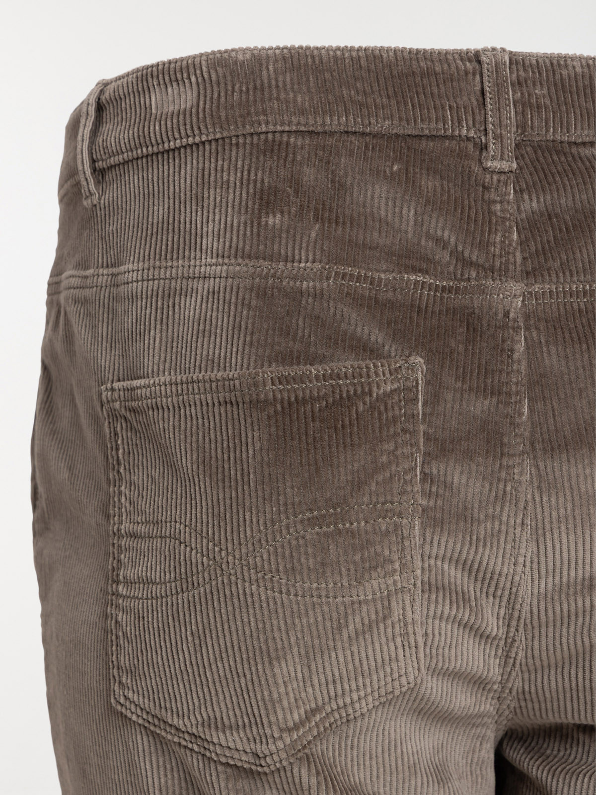 Pantalon velours grande taille femme