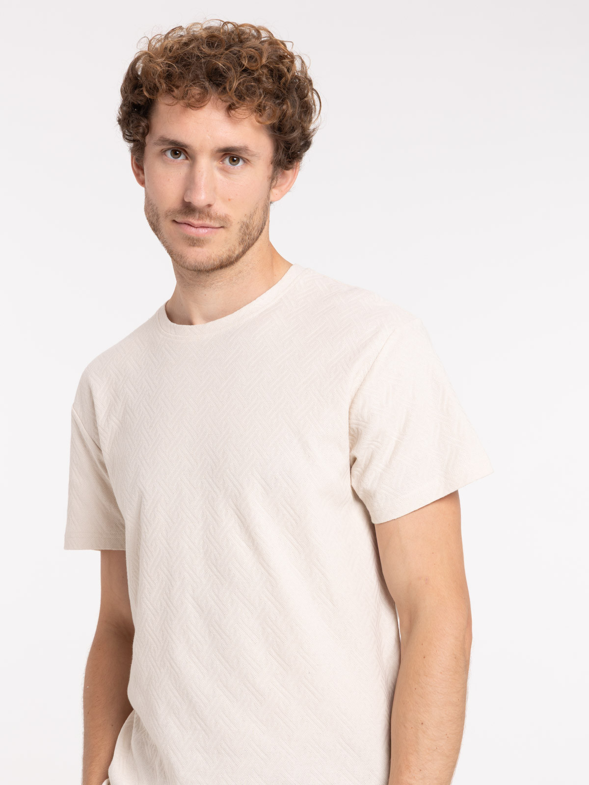 Tee-shirt jacquard col rond homme Tee-shirt jacquard col rond homme