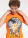 Image produit Couleur: Orange