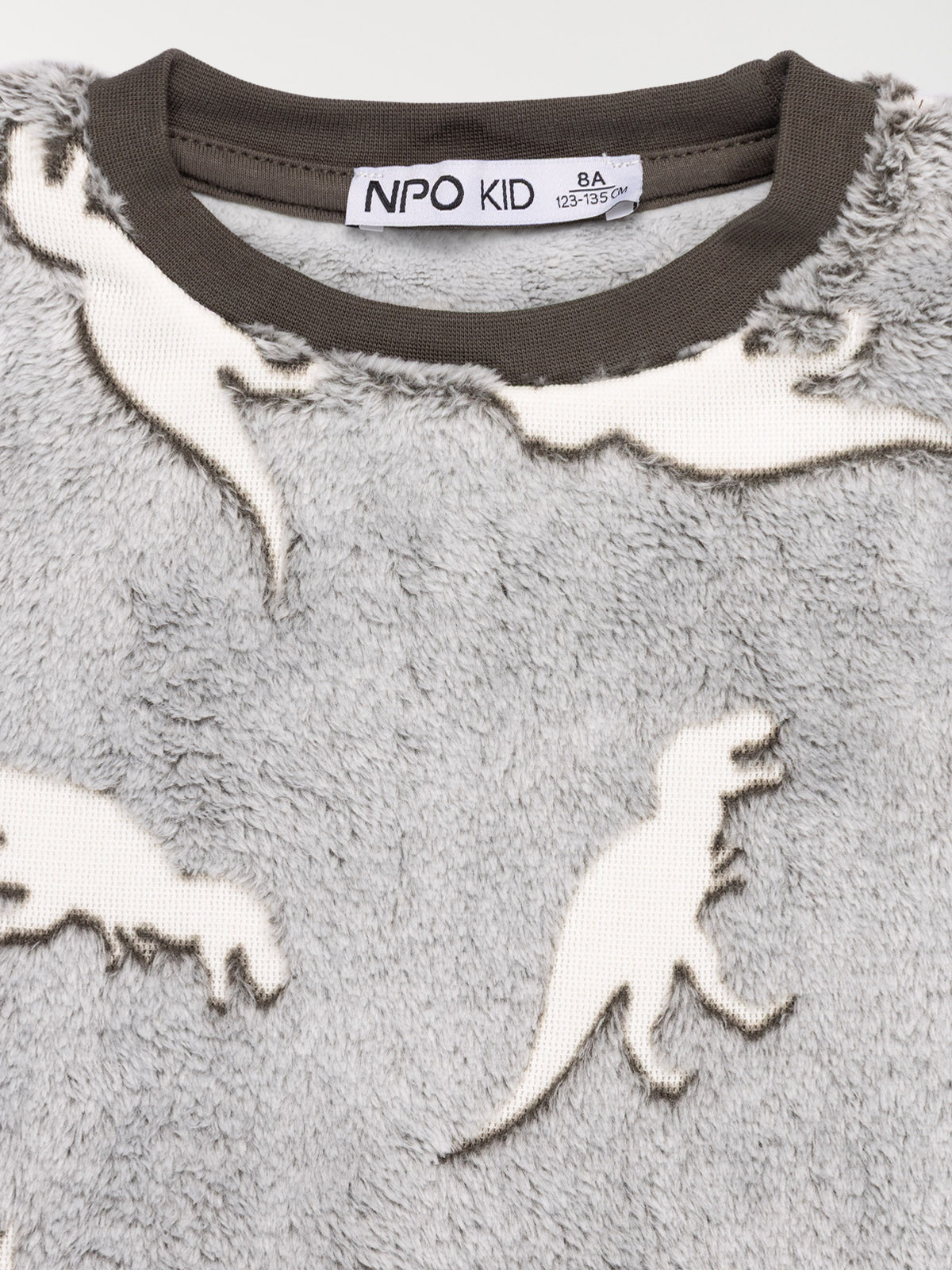 Pyjama dinosaure polaire garçon (3-12A)