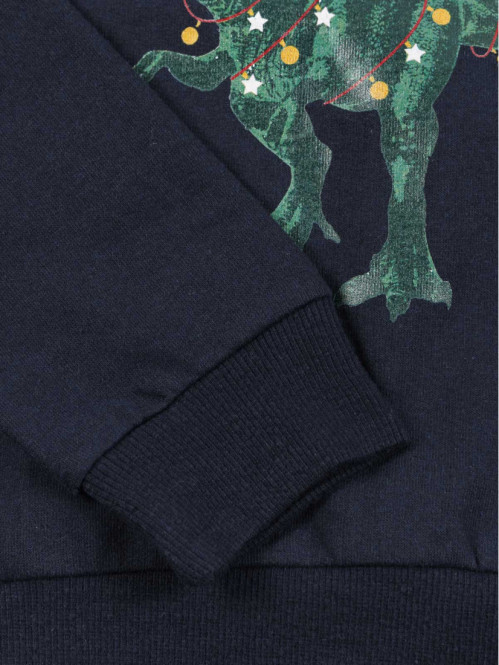 Sweat Noël dinosaure...