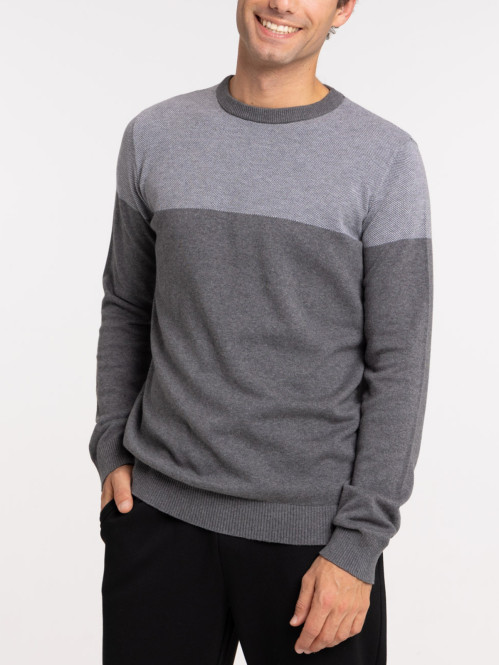 Pull bicolore gris homme