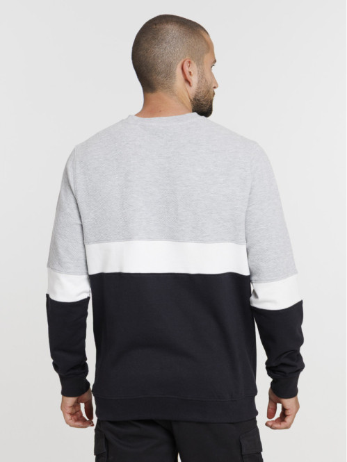 Sweat tricolore homme
