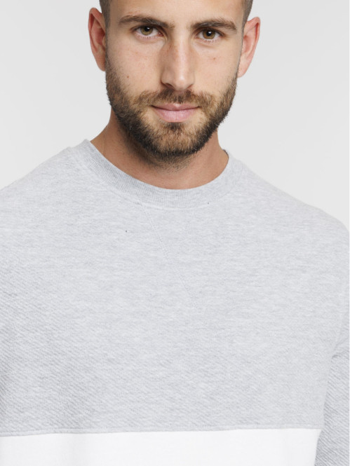 Sweat tricolore homme