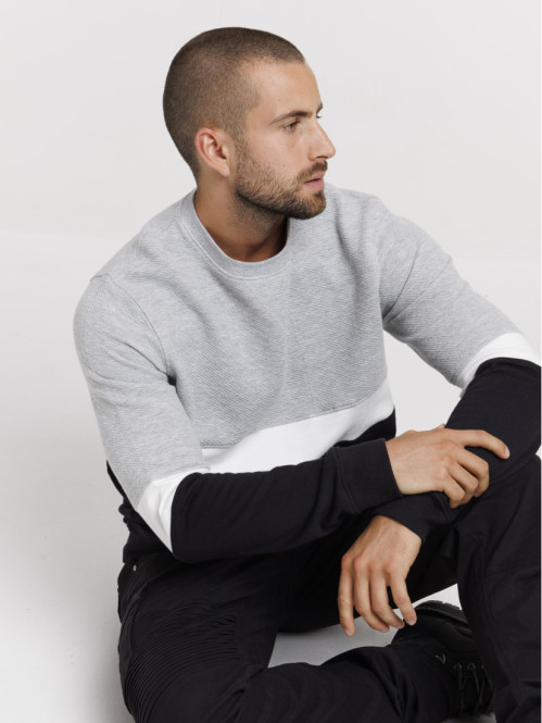 Sweat tricolore homme