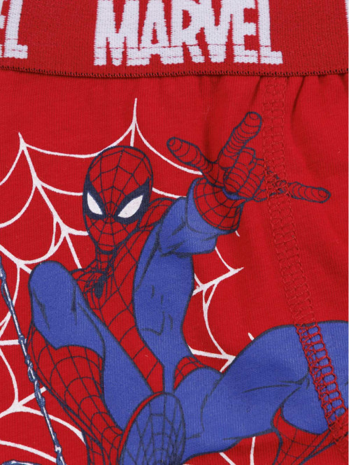 Lot de 2 boxers SPIDERMAN...