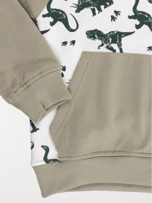 Sweat capuche dinosaures...