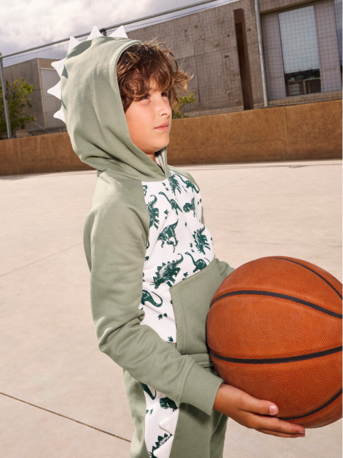 Sweat capuche dinosaures...