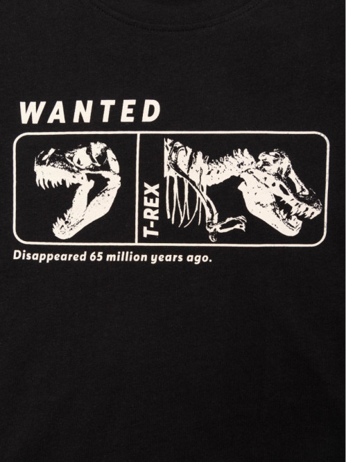 T-shirt dinosaure noir...