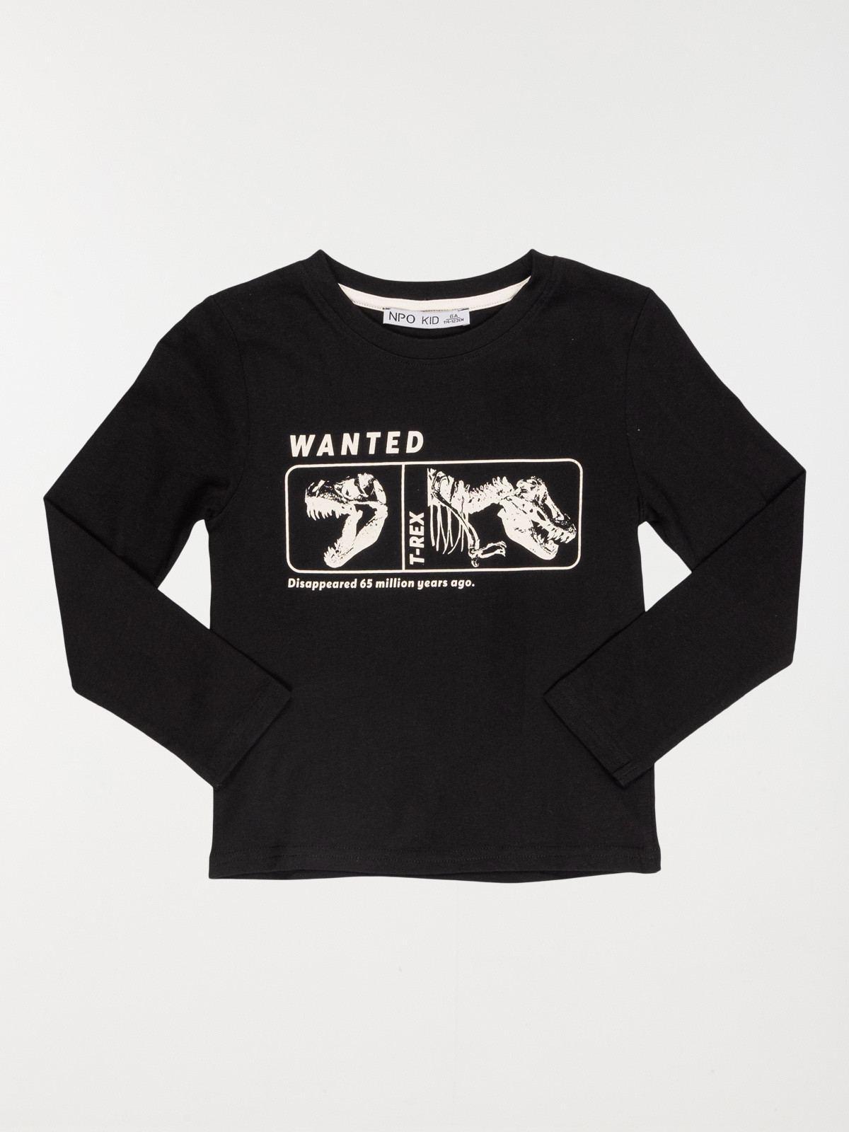 T-shirt dinosaure noir garçon (3-12A)