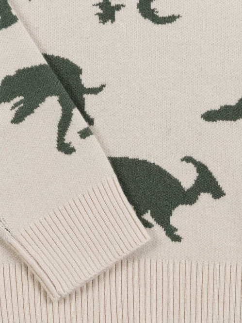 Pull dinosaures garçon (3-12A)