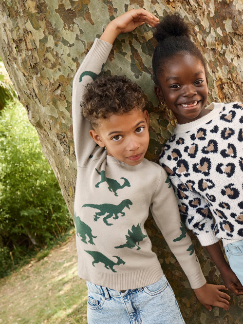 Pull dinosaures garçon (3-12A)