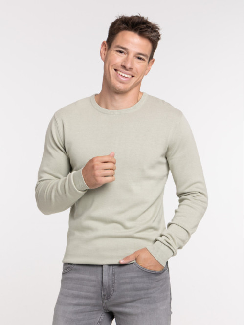 Pull 100% coton sauge homme