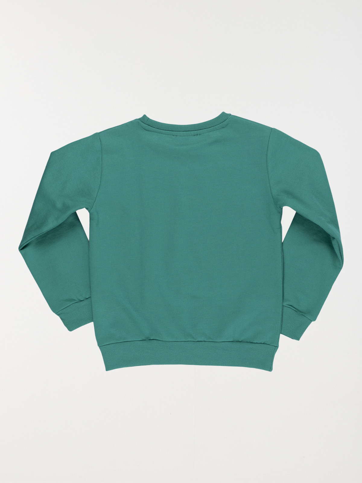 Sweat uni palmier brodé garçon (3-12A)