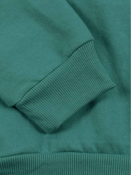 Sweat uni palmier brodé...