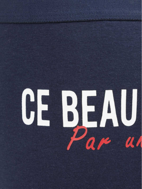 Boxer beau gosse Saint...