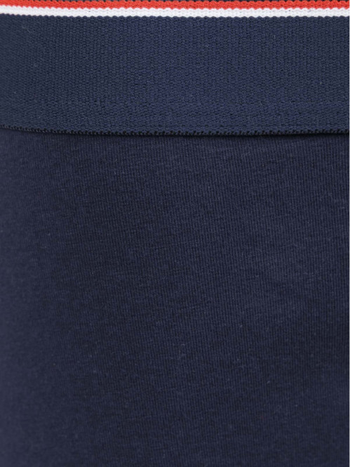 Boxer beau gosse Saint...