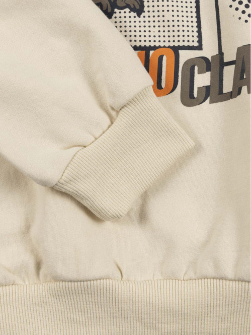 Sweat dinosaures garçon...