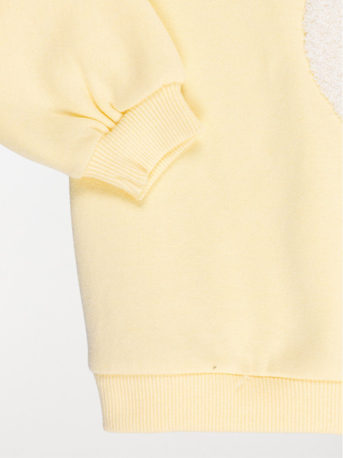 Sweat motif oiseau devant...