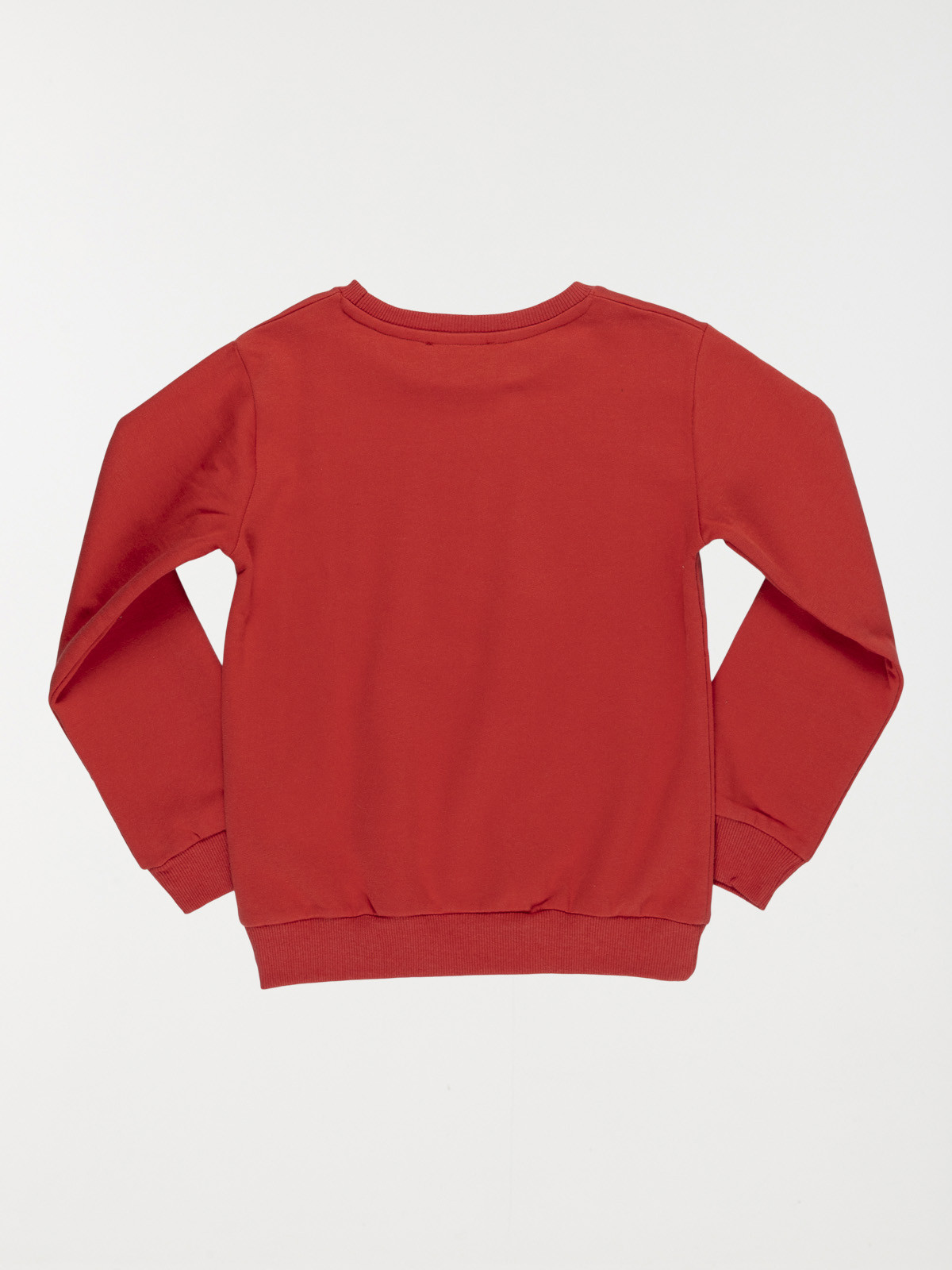 Sweat palmier brodé garçon (3-12A)