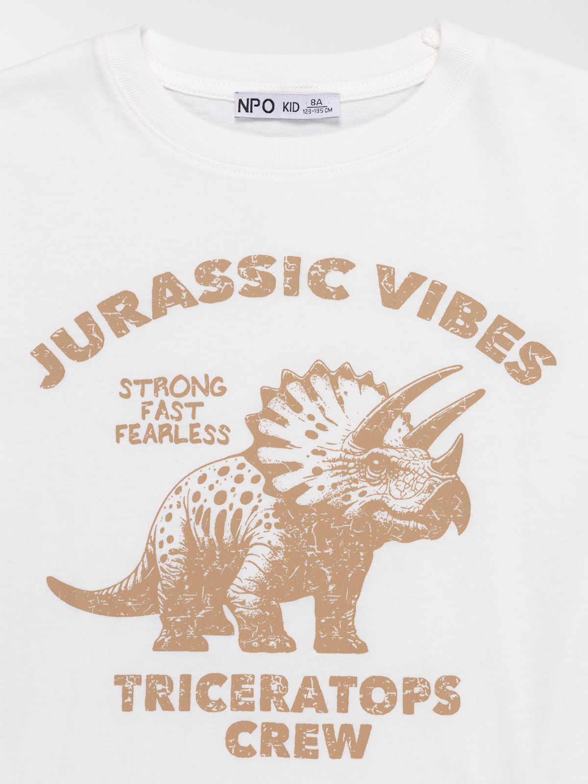 T-shirt dinosaure garçon (3-12A)