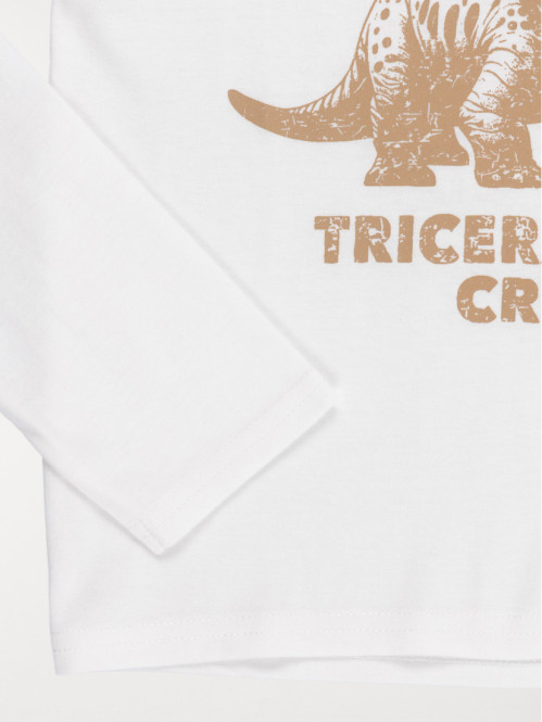 T-shirt dinosaure garçon...