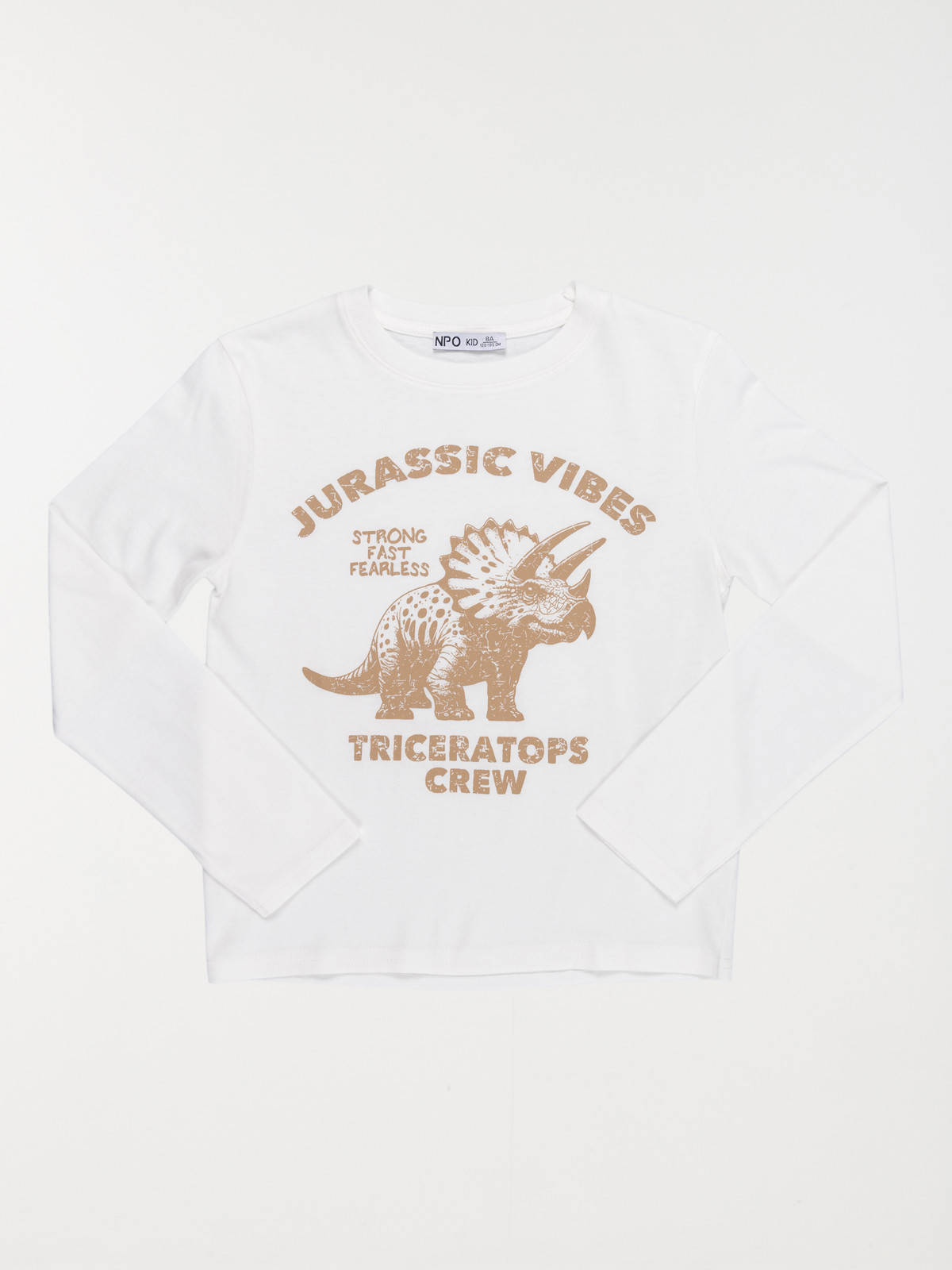 T-shirt dinosaure garçon (3-12A)